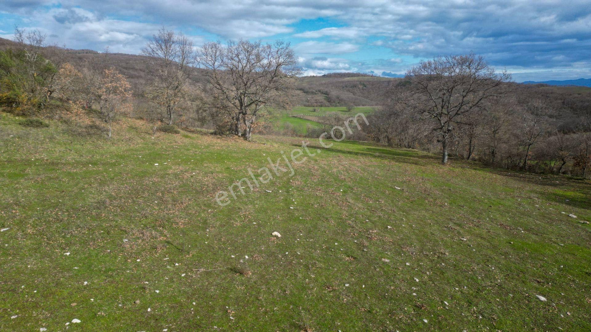 Kocaeli Karamürsel Fulacık %5 İmarlı 8.128 M2 Satılık Tarla - Görsel 7