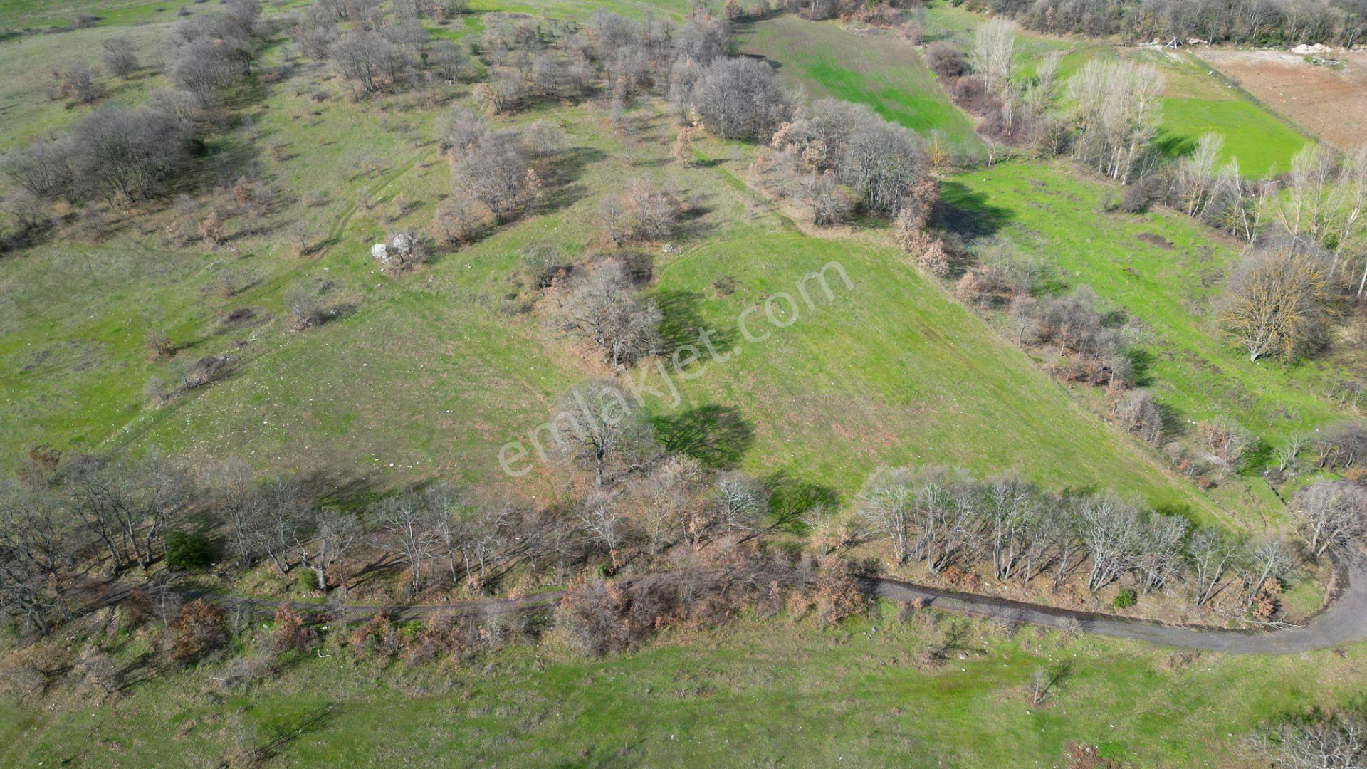 Kocaeli Karamürsel Fulacık %5 İmarlı 8.128 M2 Satılık Tarla - Görsel 3