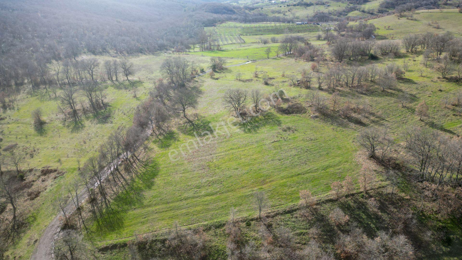 Kocaeli Karamürsel Fulacık %5 İmarlı 8.128 M2 Satılık Tarla - Görsel 10