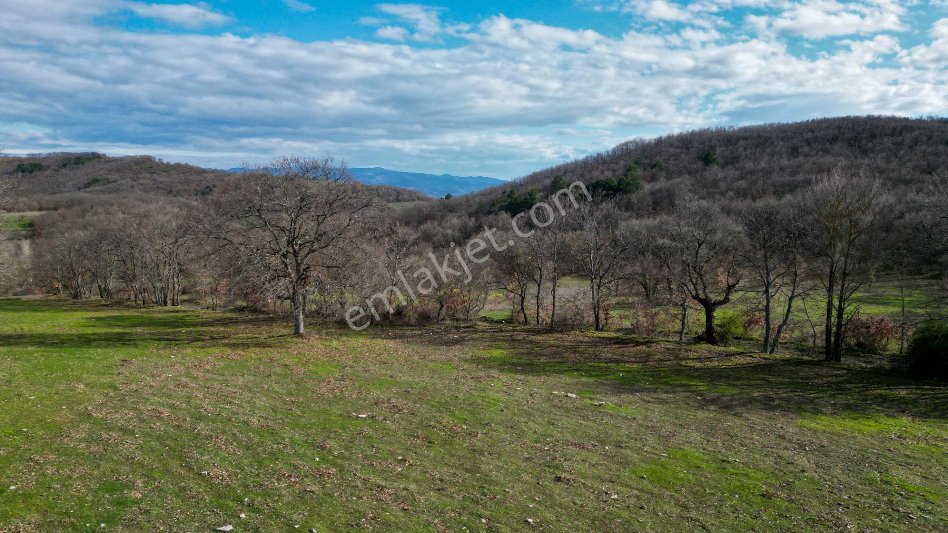 Kocaeli Karamürsel Fulacık %5 İmarlı 8.128 M2 Satılık Tarla - Görsel 17