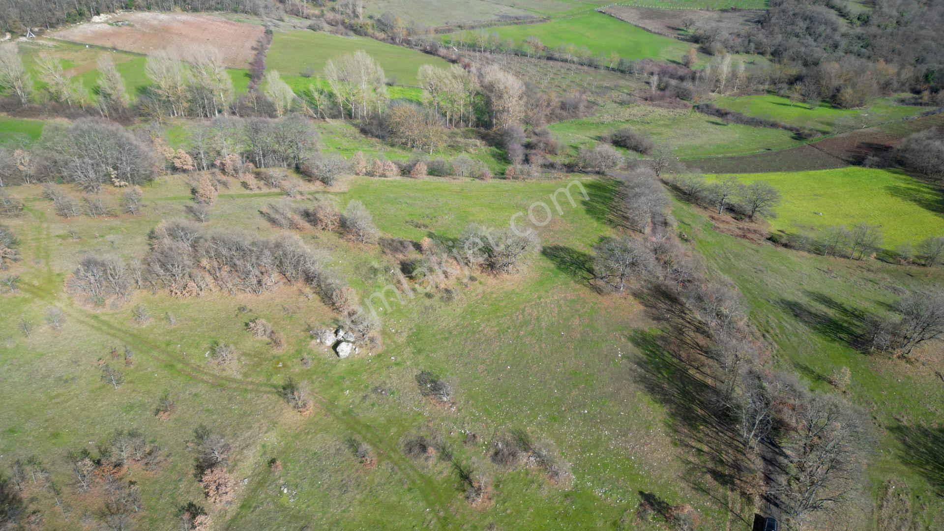 Kocaeli Karamürsel Fulacık %5 İmarlı 8.128 M2 Satılık Tarla - Görsel 13