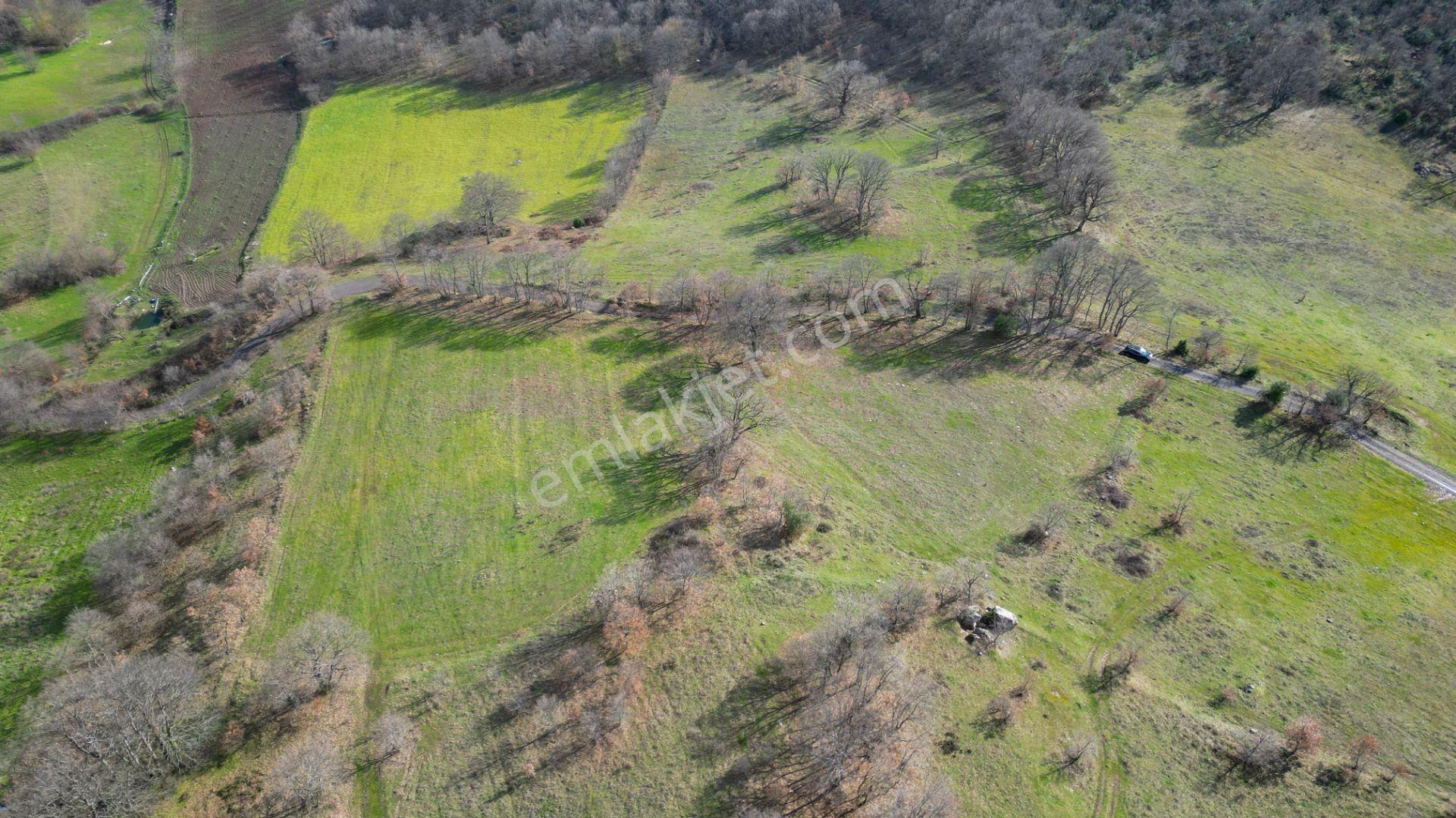 Kocaeli Karamürsel Fulacık %5 İmarlı 8.128 M2 Satılık Tarla - Görsel 11