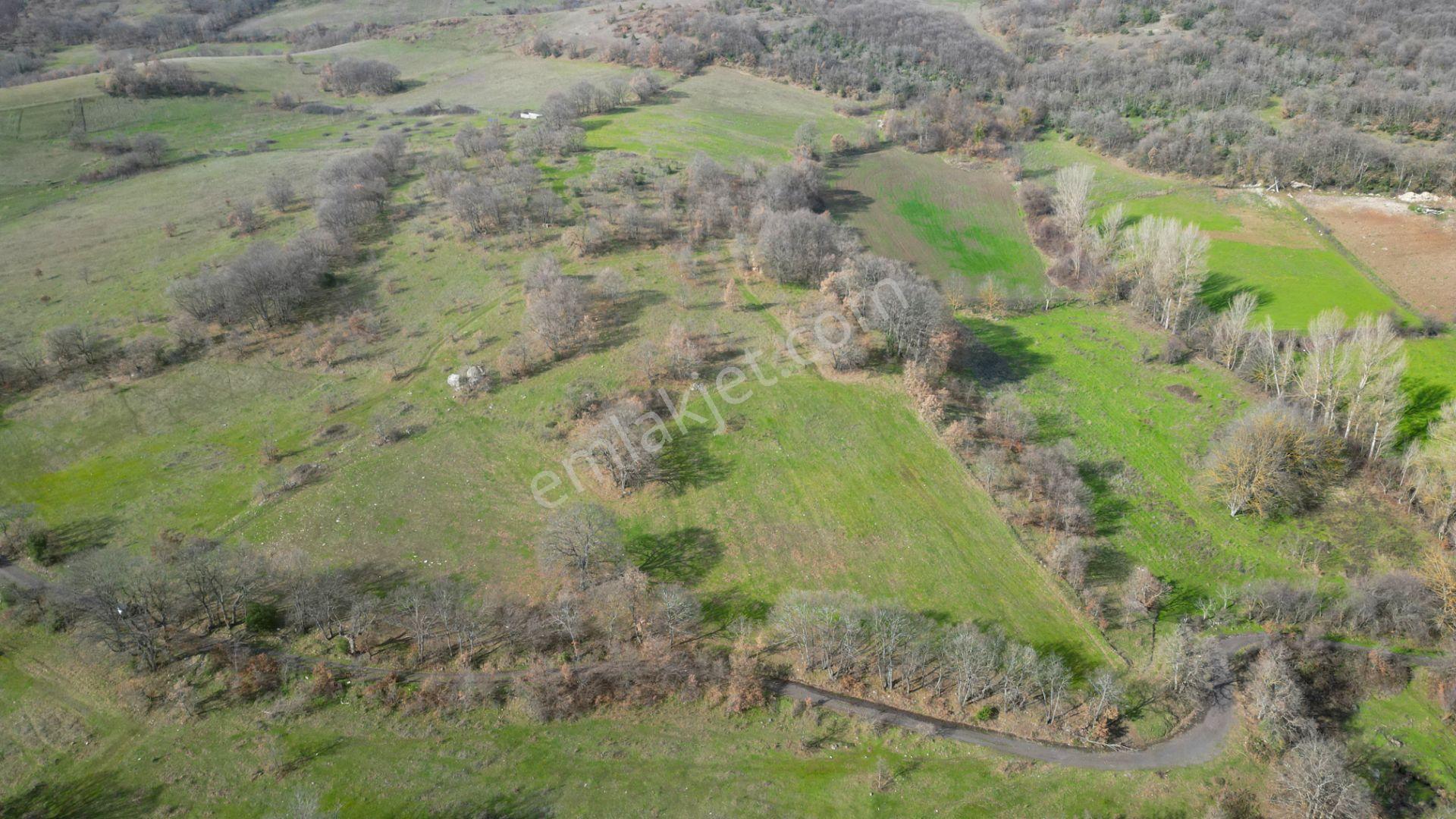 Kocaeli Karamürsel Fulacık %5 İmarlı 8.128 M2 Satılık Tarla - Görsel 5
