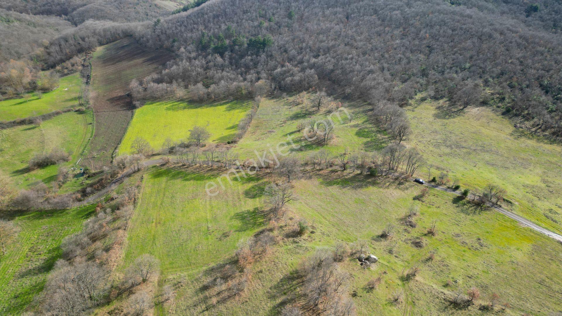 Kocaeli Karamürsel Fulacık %5 İmarlı 8.128 M2 Satılık Tarla - Görsel 12