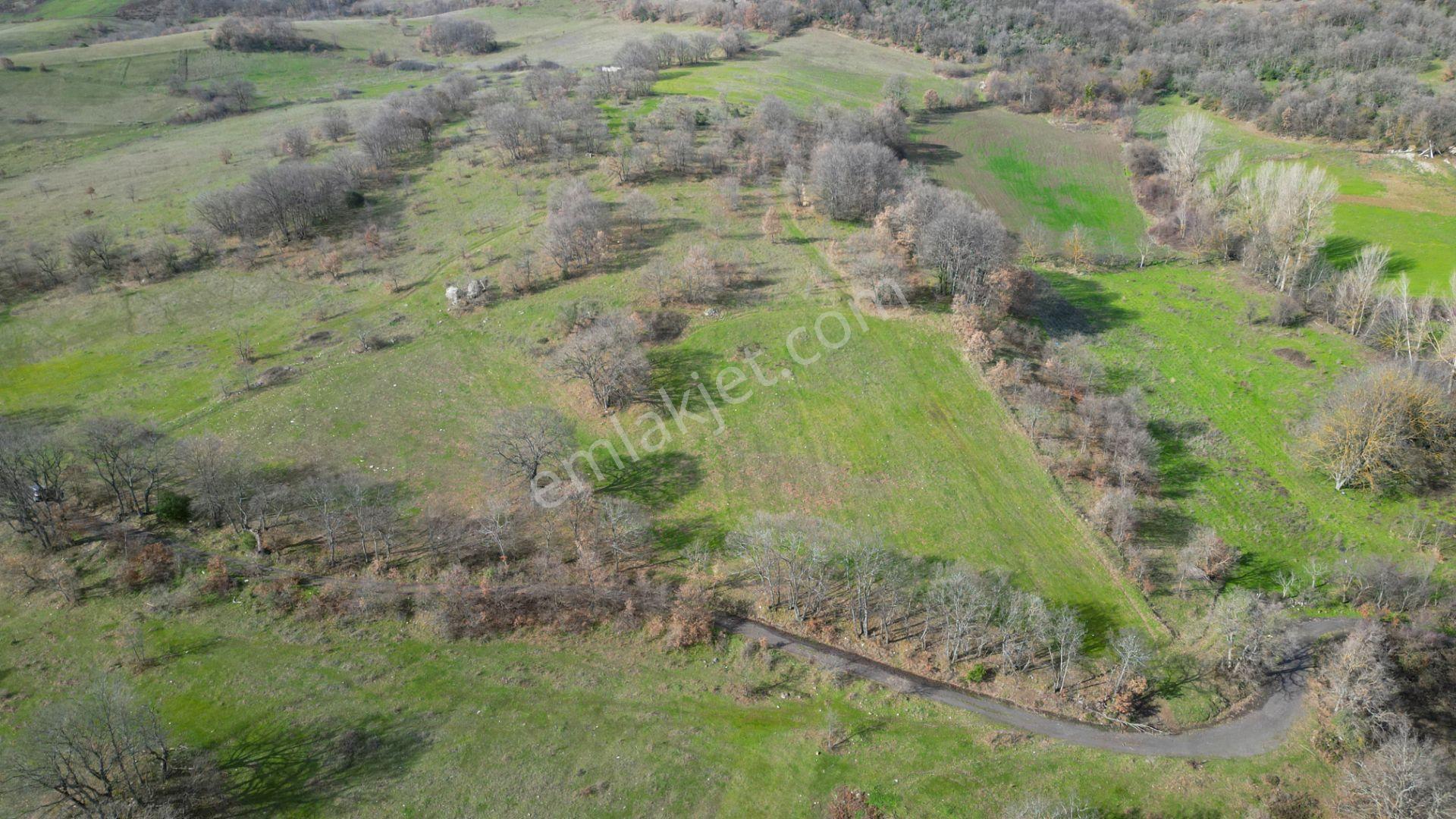 Kocaeli Karamürsel Fulacık %5 İmarlı 8.128 M2 Satılık Tarla - Görsel 4