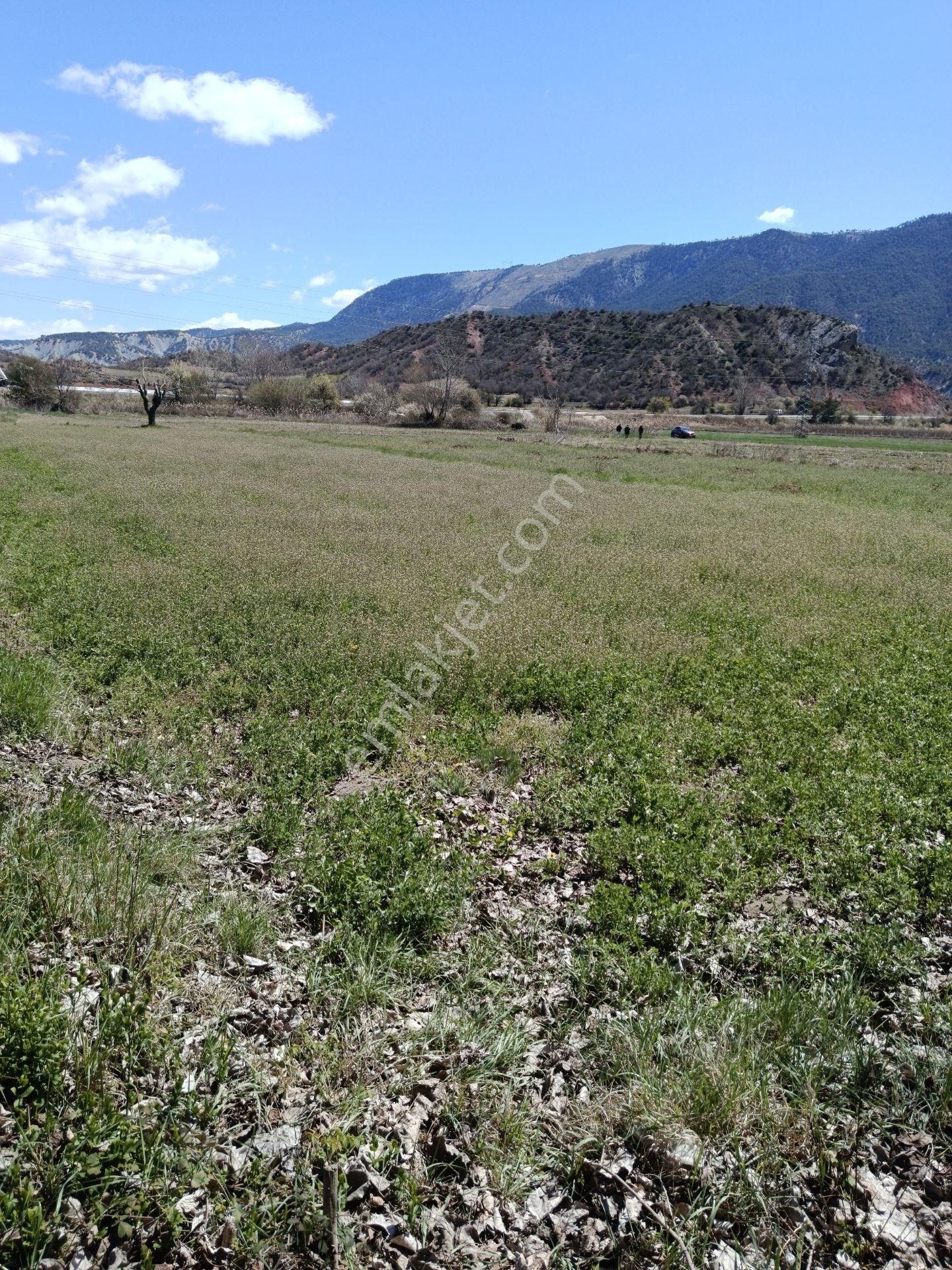 D-140 Karayoluna Cephe Yol Su Elektriği Olan Fırsat Yer 1482 M2