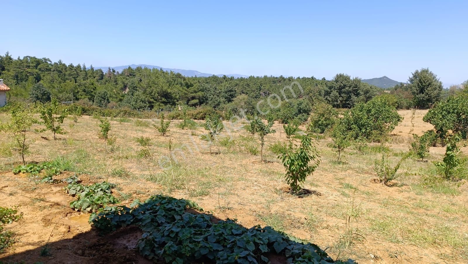 Ağabey'den Emsallerinin Altında Satılık Arazi - Görsel 11