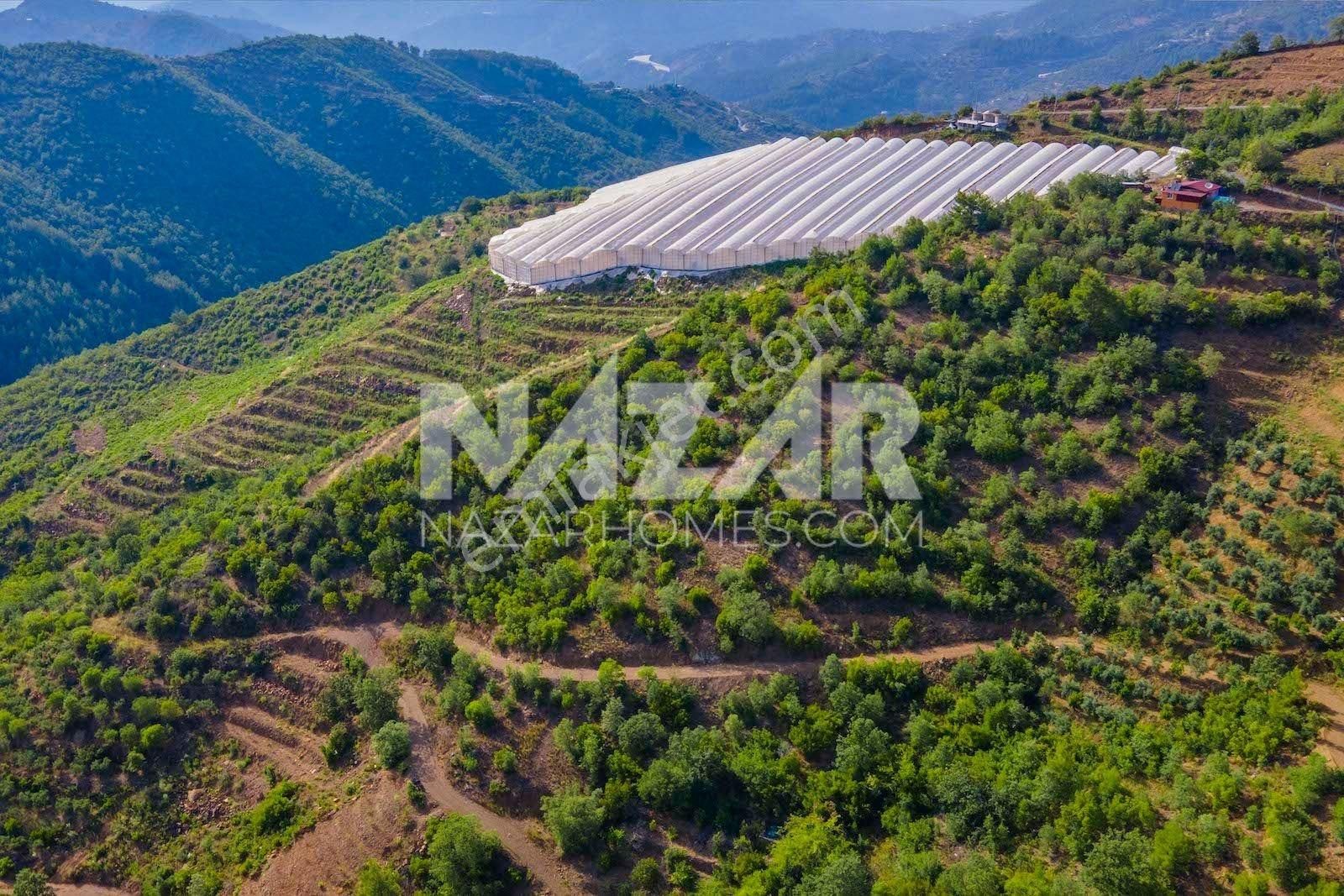 Alanya Çamlıca Köyü’nde Satılık 7.062 M² Yatırımlık Tarla