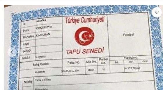 Adana Çukurova Karahan Tapantepe 5.115 M2 Arsa - Görsel 4