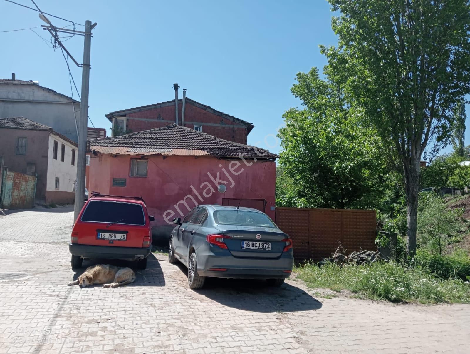 Gemlik Kurtul Köyünde Bahçeli Müstakil Köy Evi - Görsel 3