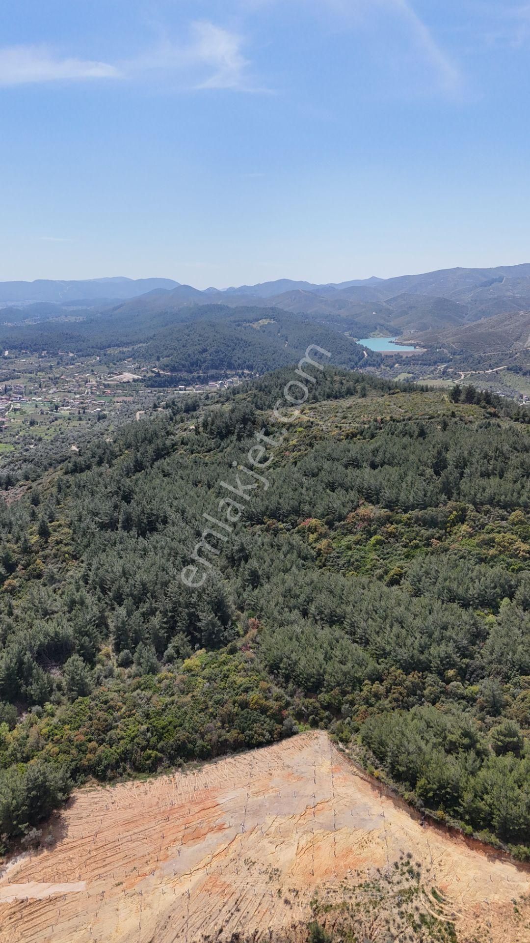 Çatalca'da Satılık Resmi Tapulu Köye Yakın 240 M2 Bahçeler - Görsel 13