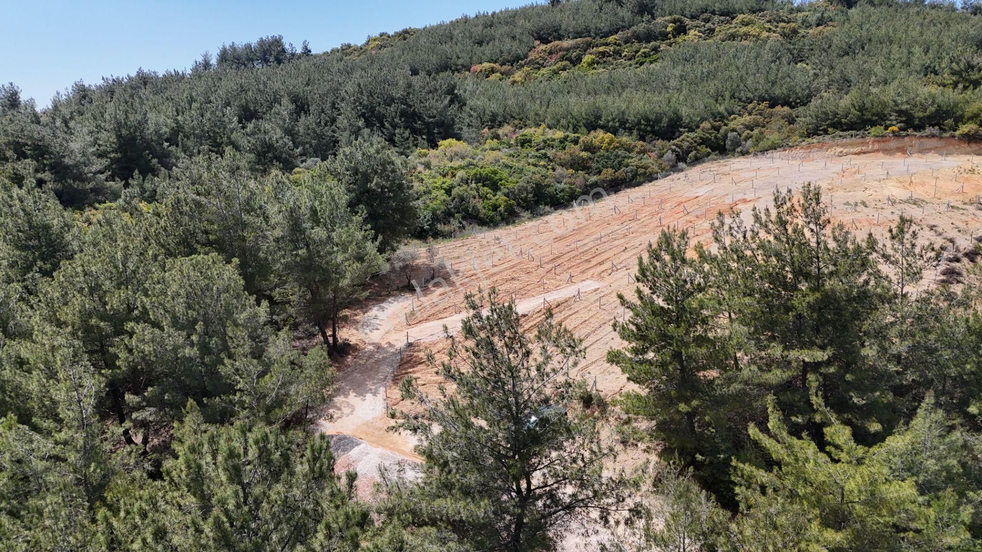 Çatalca'da Satılık Resmi Tapulu Köye Yakın 240 M2 Bahçeler - Görsel 7