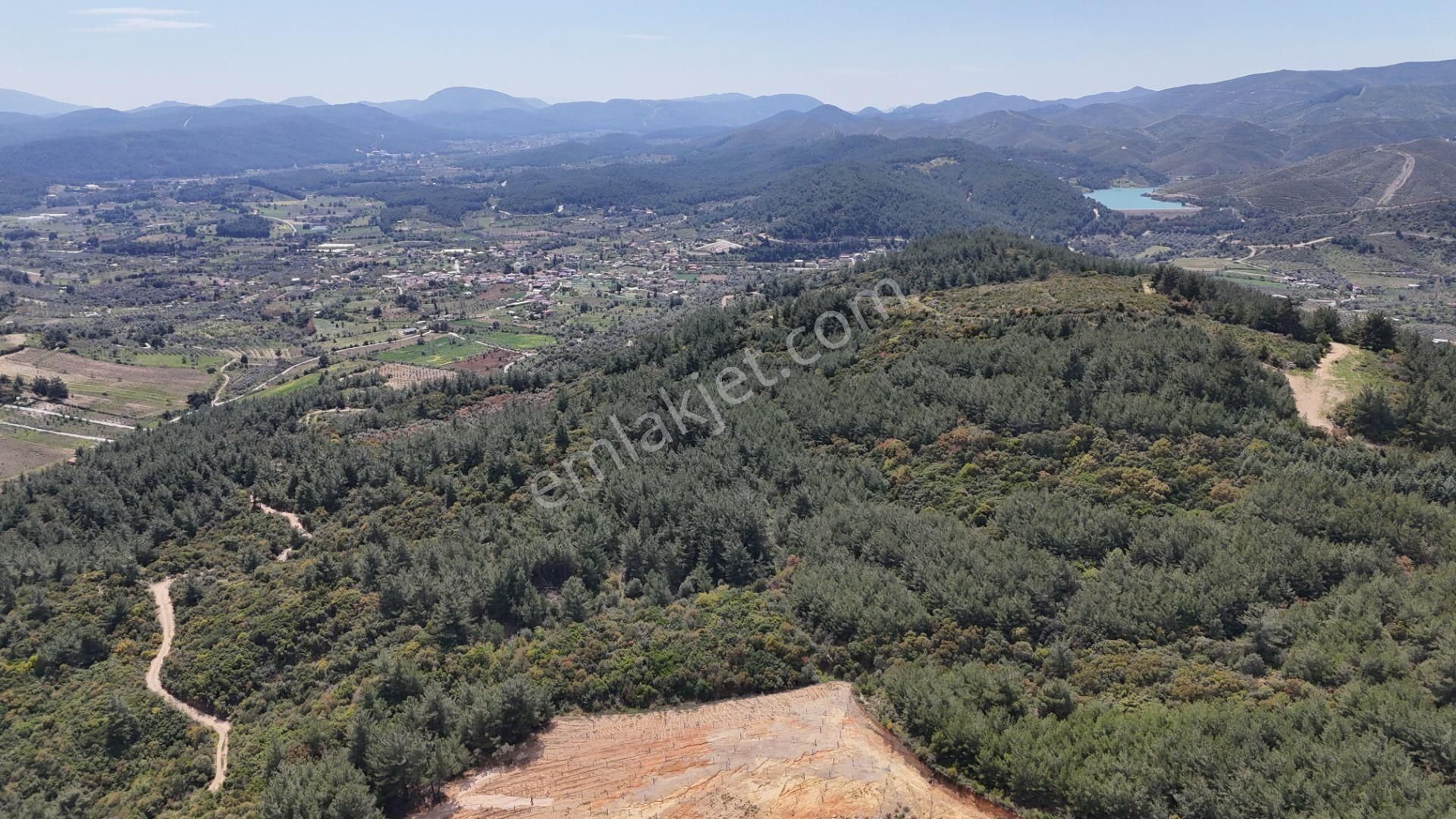 Çatalca'da Satılık Resmi Tapulu Köye Yakın 240 M2 Bahçeler - Görsel 9