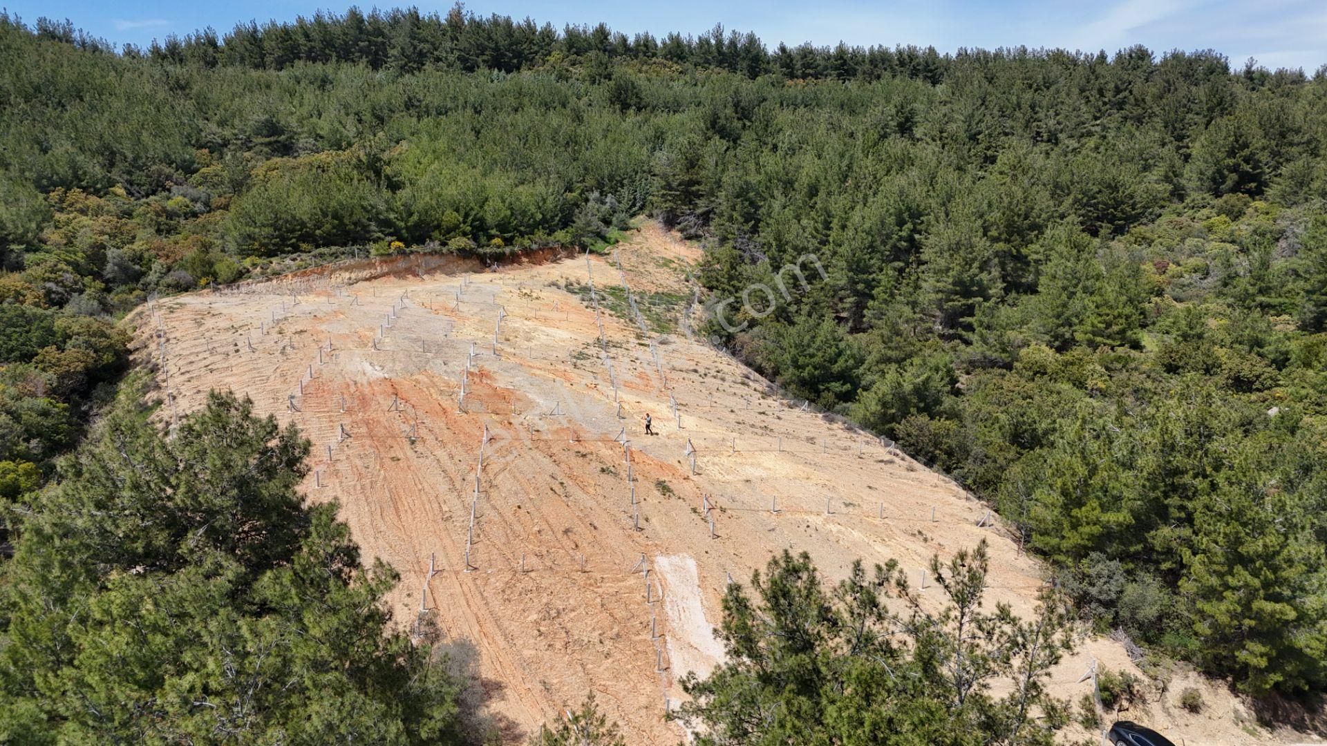 Çatalca'da Satılık Resmi Tapulu Köye Yakın 240 M2 Bahçeler - Görsel 6