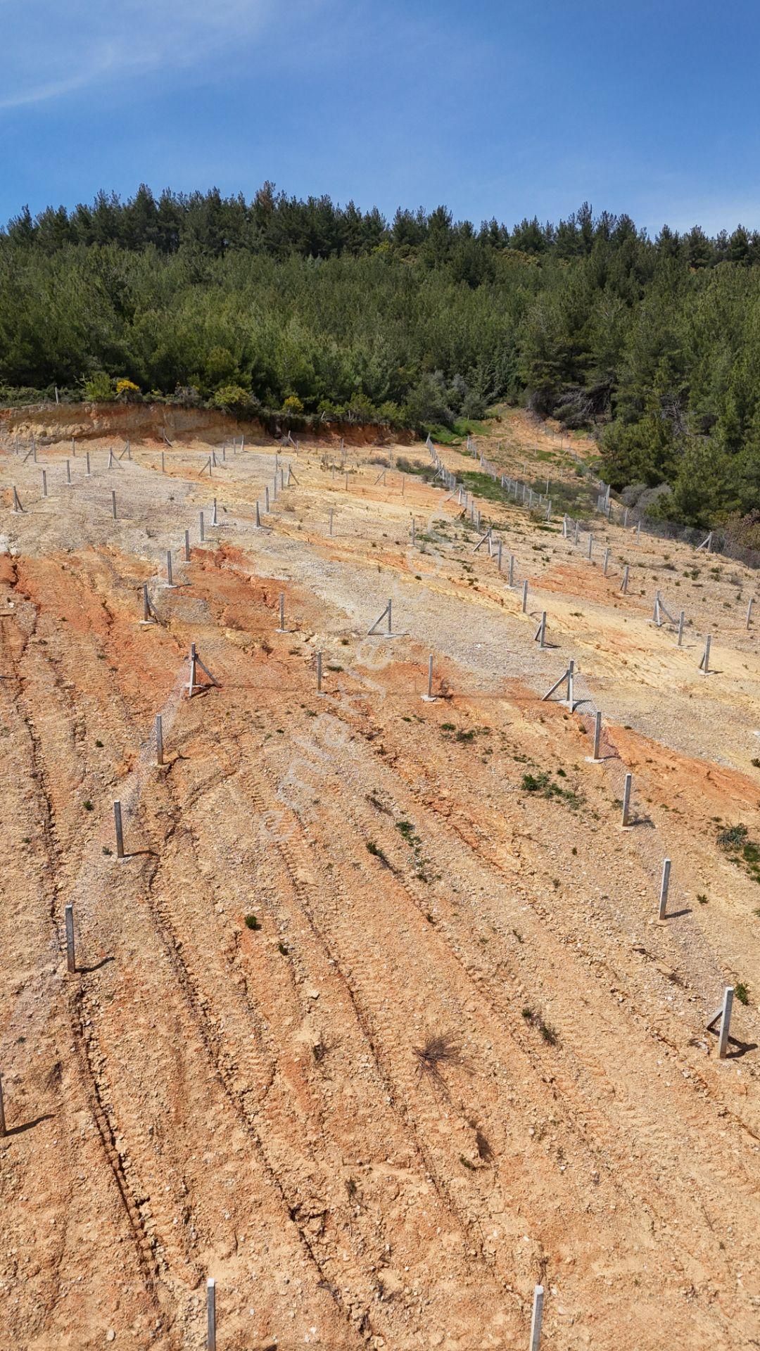 Çatalca'da Satılık Resmi Tapulu Köye Yakın 240 M2 Bahçeler - Görsel 33