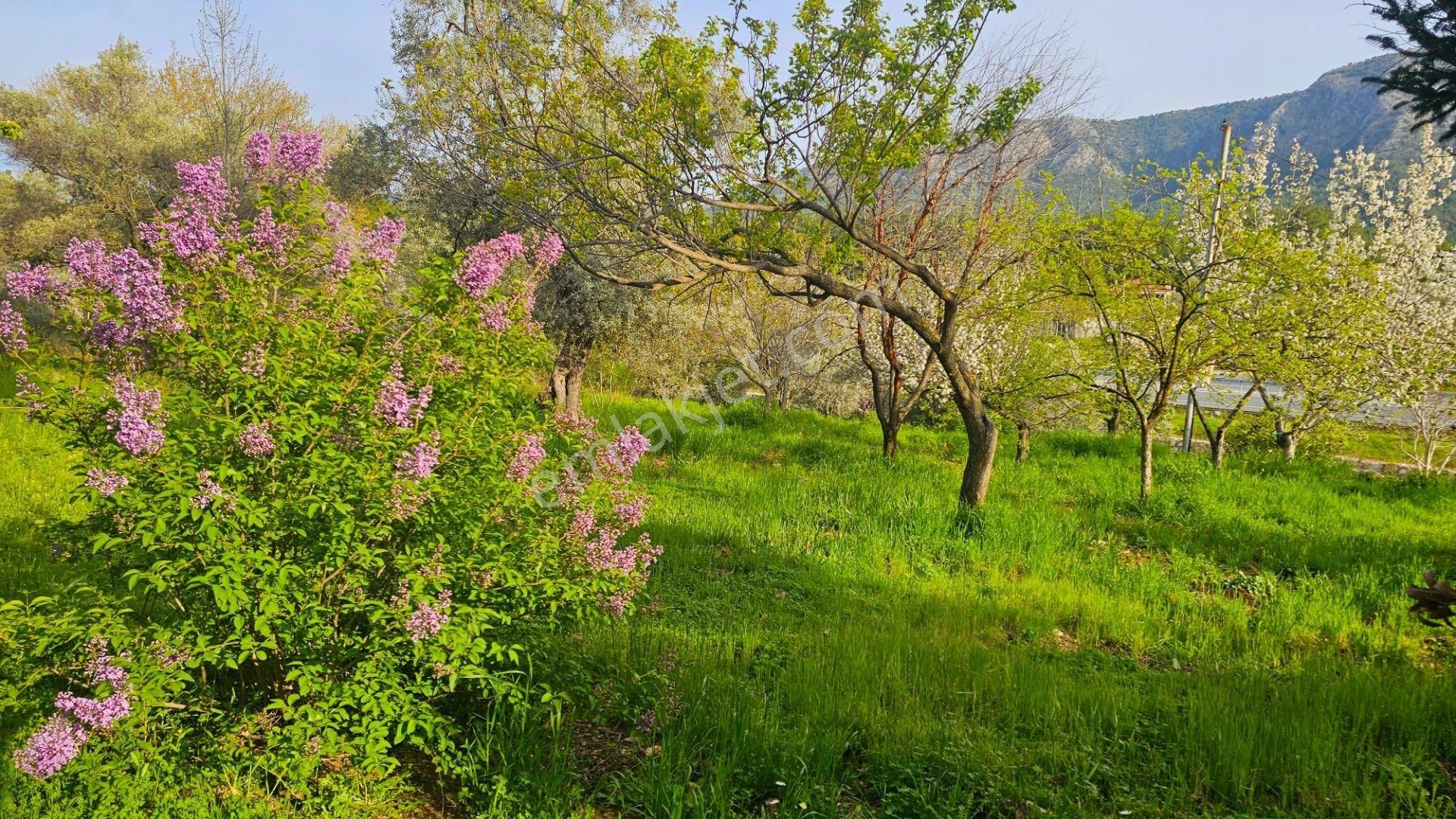 Muğla Bodrum Ana Yola Cepheli Satılık Konut İmarlı Arsa - Görsel 24