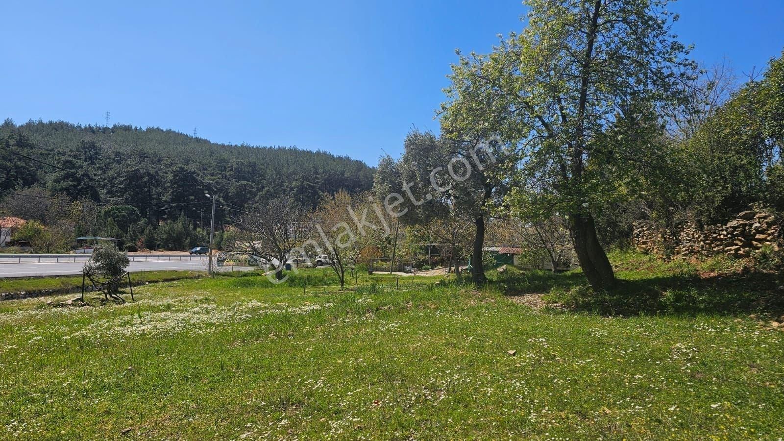 Muğla Bodrum Ana Yola Cepheli Satılık Konut İmarlı Arsa - Görsel 17