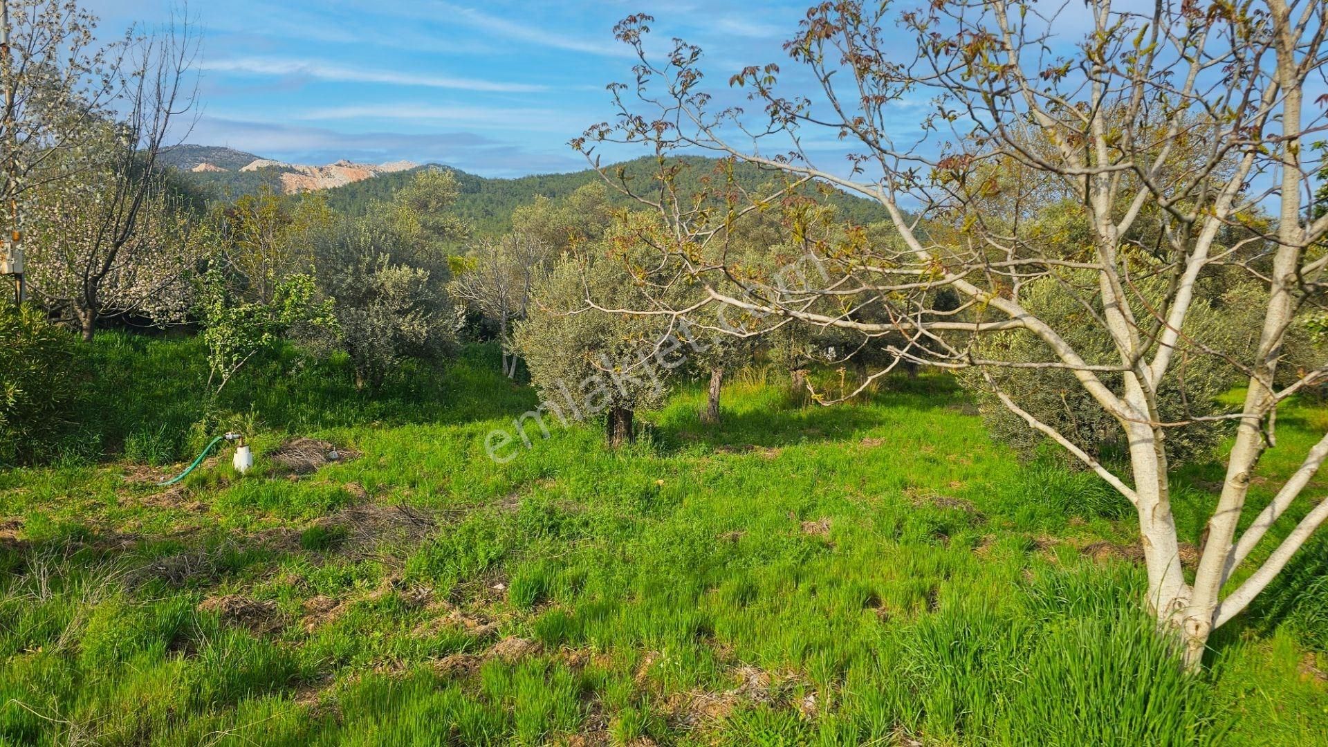 Muğla Bodrum Ana Yola Cepheli Satılık Konut İmarlı Arsa - Görsel 21