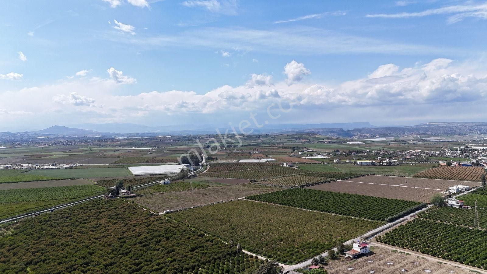 Ra Gayrimenkul Özbek Mh.satılık 102 Dönüm Bahçe - Görsel 2