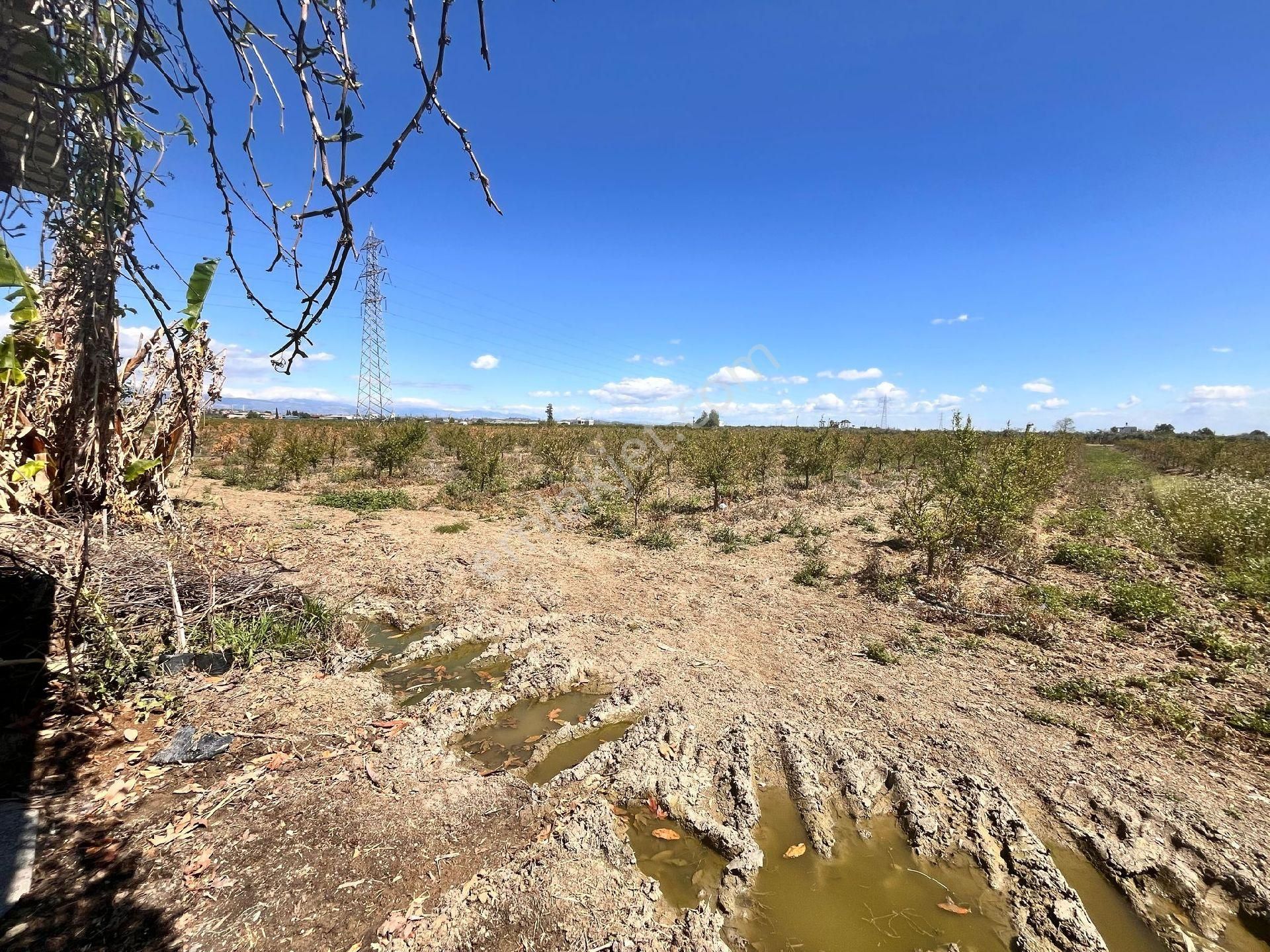 Ra Gayrimenkul Özbek Mh.satılık 102 Dönüm Bahçe - Görsel 9