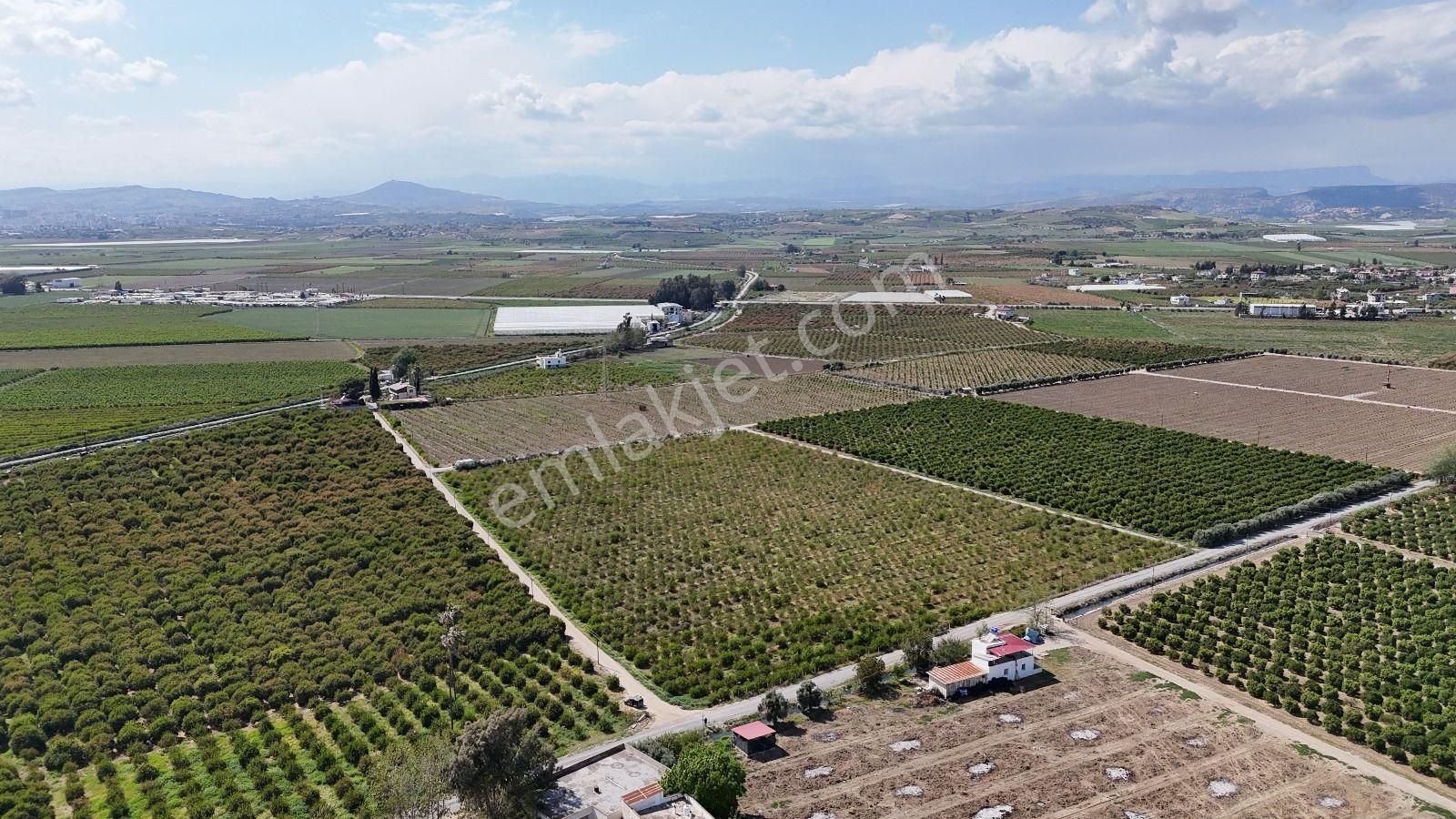 Ra Gayrimenkul Özbek Mh.satılık 102 Dönüm Bahçe - Görsel 8