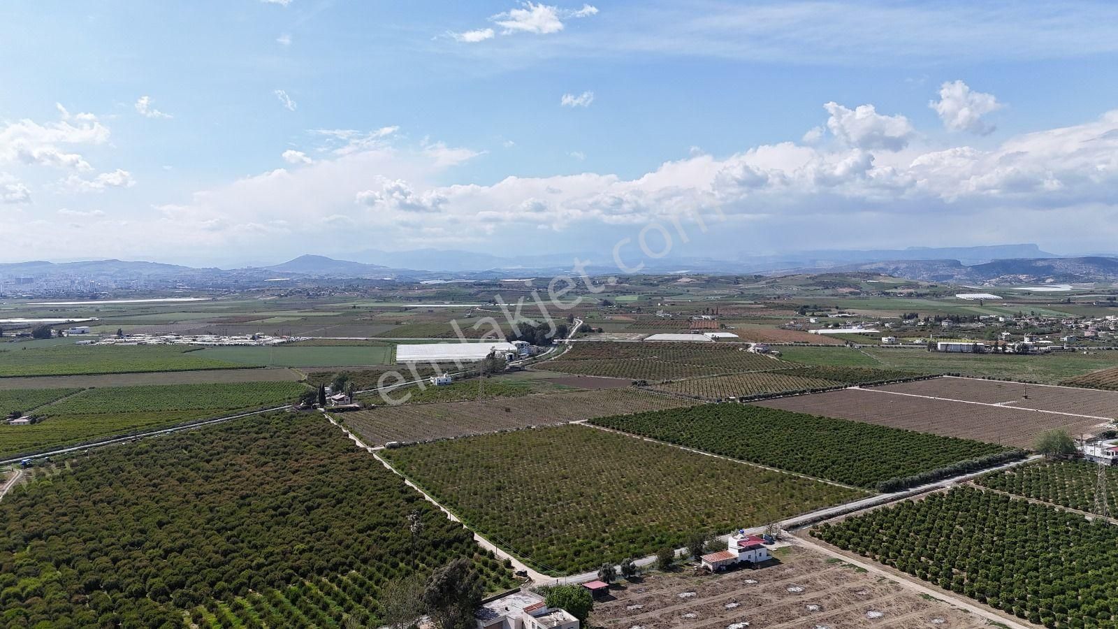 Ra Gayrimenkul Özbek Mh.satılık 102 Dönüm Bahçe - Görsel 6