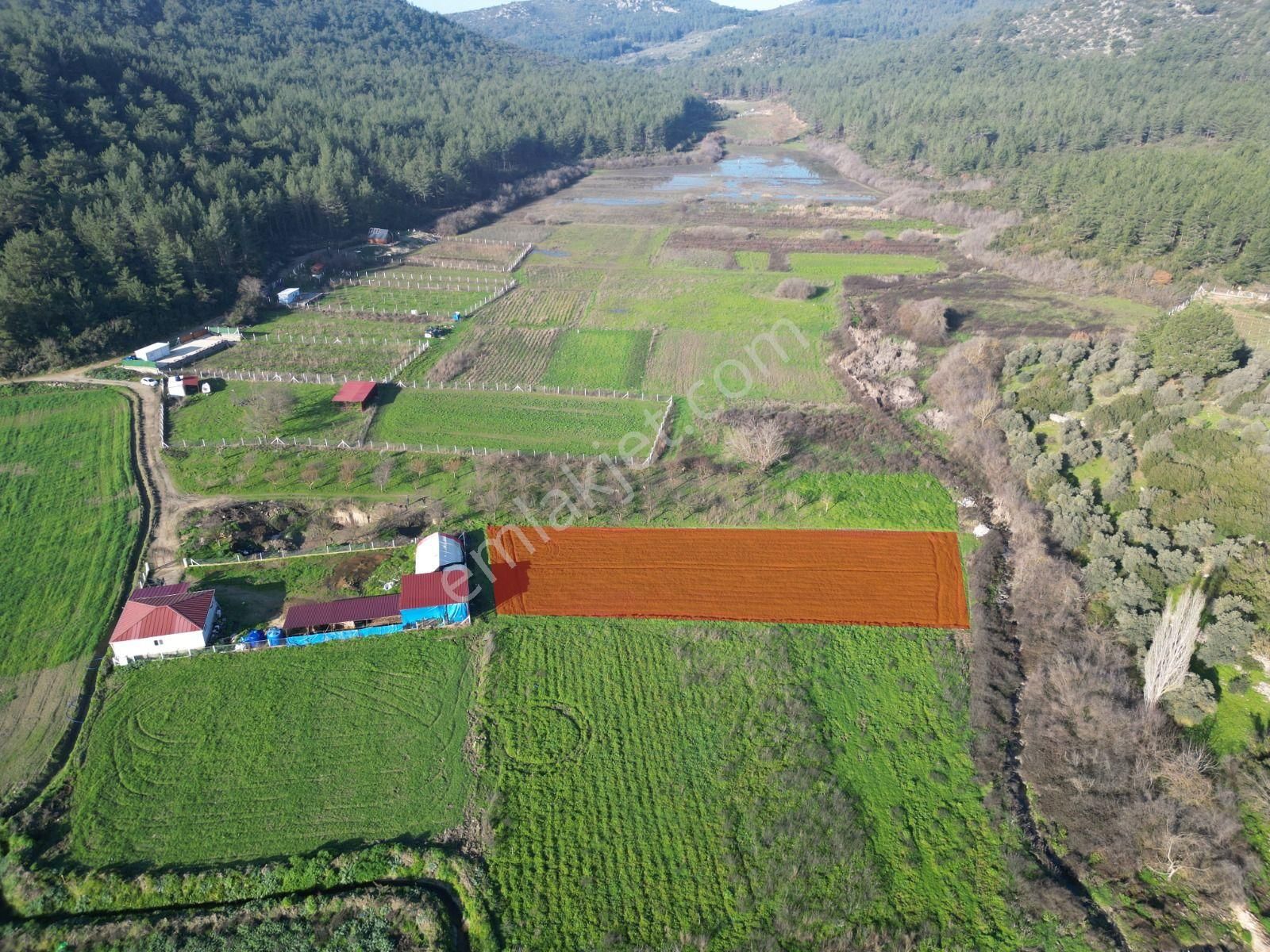 Kirazlı Köyün'de Yatırımlık Satılık Tarla - Görsel 2