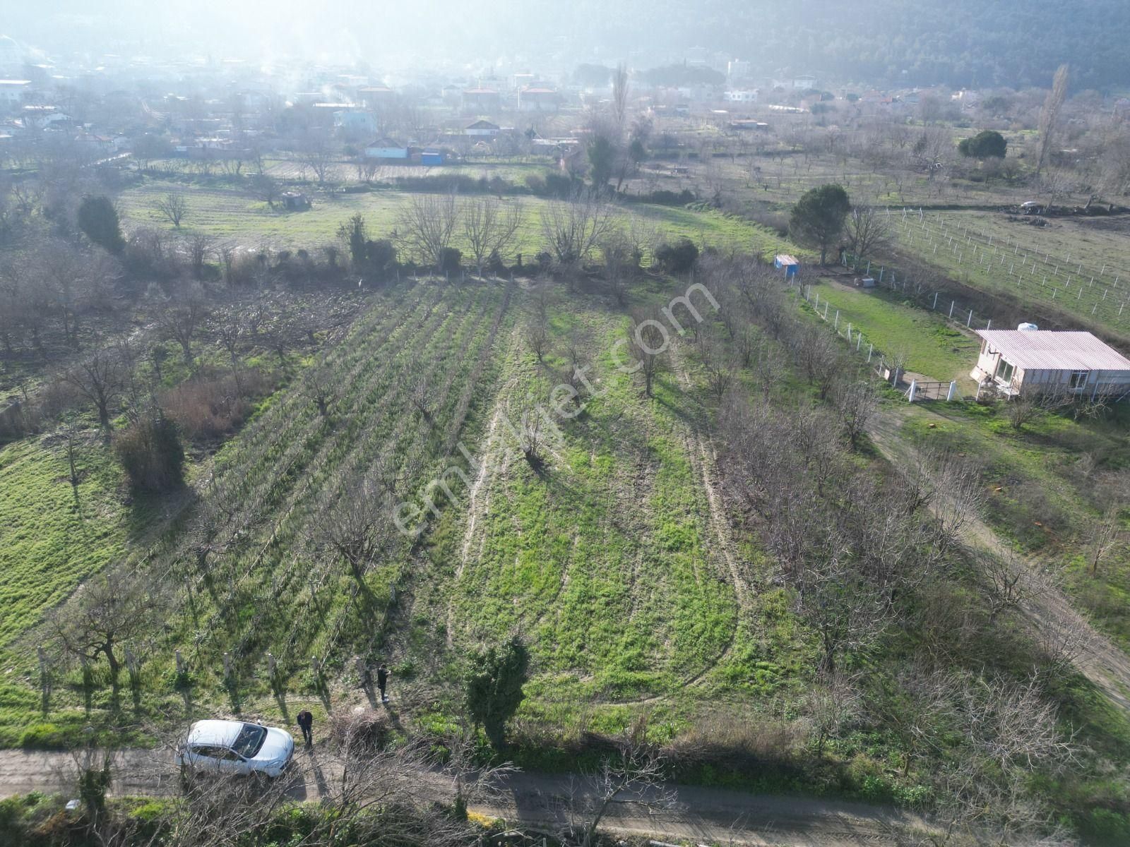 Kirazlı Köy Merkezi'n De Satılık Tarla - Görsel 3