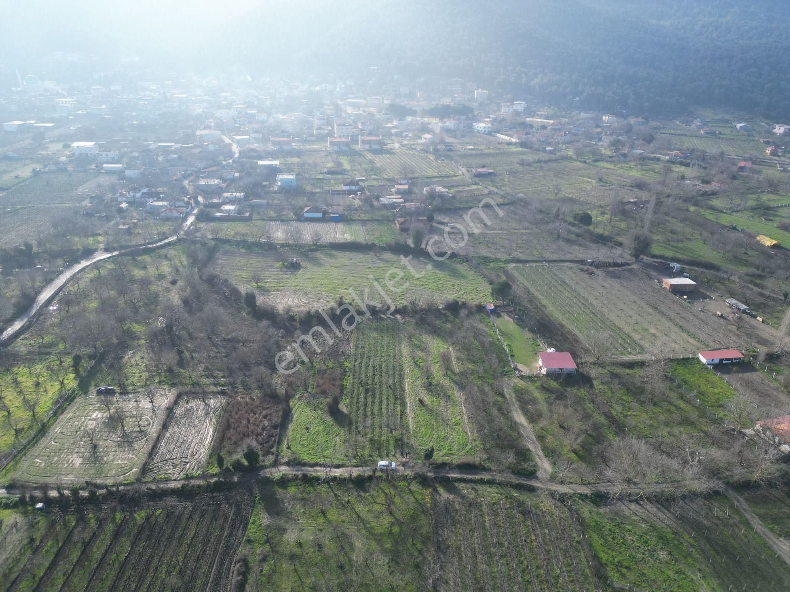 Kirazlı Köy Merkezi'n De Satılık Tarla - Görsel 6