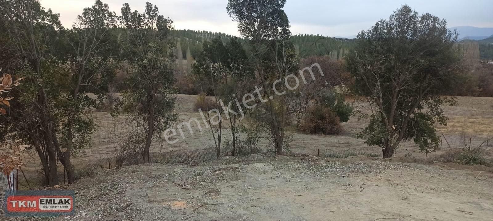 Gölhisar Ulucamii Mah. Satılık Bahçe Tarla Fethiye Yolu Üzeri - Görsel 4