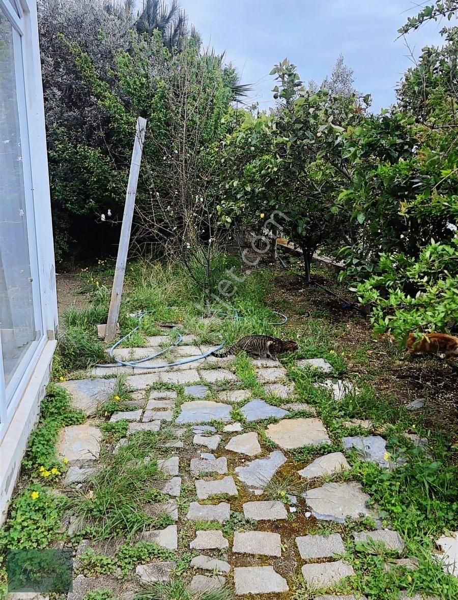 Marina Emlak'tan Yalıkavak Dirmil De Satılık 2+1 Bahçekatı Daire - Görsel 13