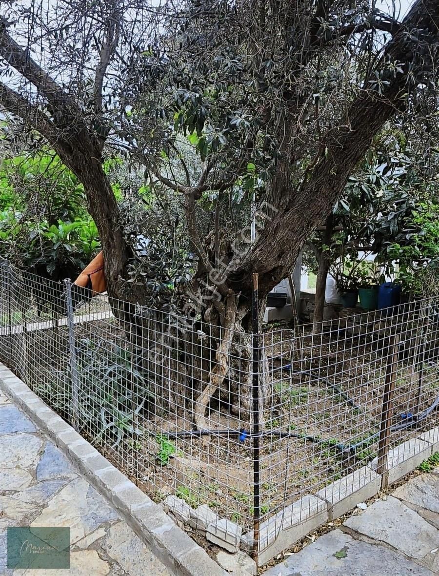 Marina Emlak'tan Yalıkavak Dirmil De Satılık 2+1 Bahçekatı Daire - Görsel 22