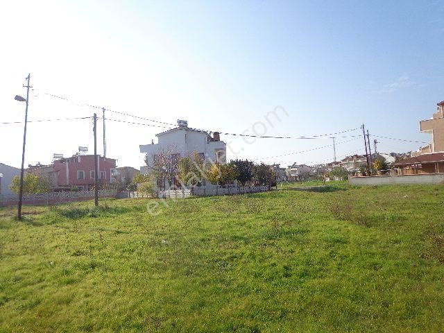 Haydar Emlaktan Yenicede 2 Parsel Yan Yana Villa Arsası 320 M2 - Görsel 13