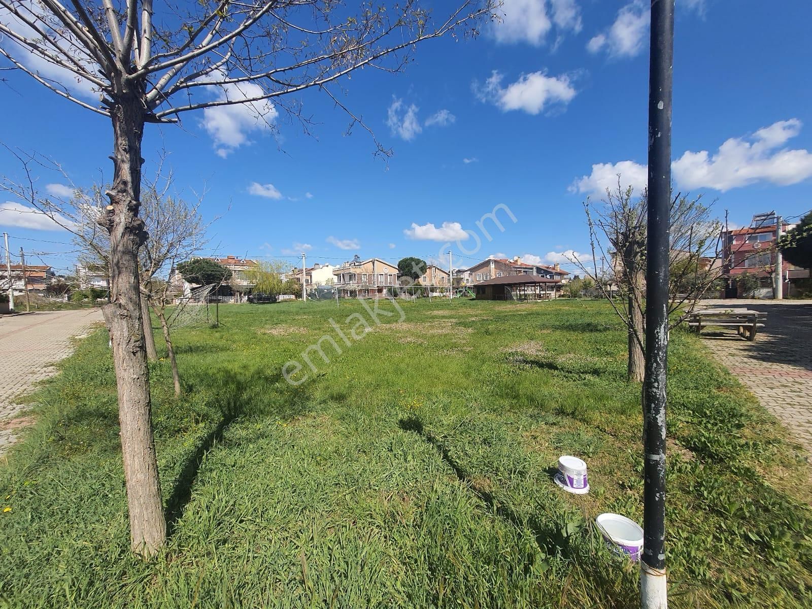 Haydar Emlaktan Yenicede 2 Parsel Yan Yana Villa Arsası 320 M2 - Görsel 16