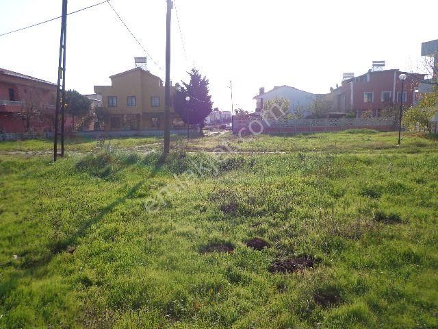 Haydar Emlaktan Yenicede 2 Parsel Yan Yana Villa Arsası 320 M2 - Görsel 6