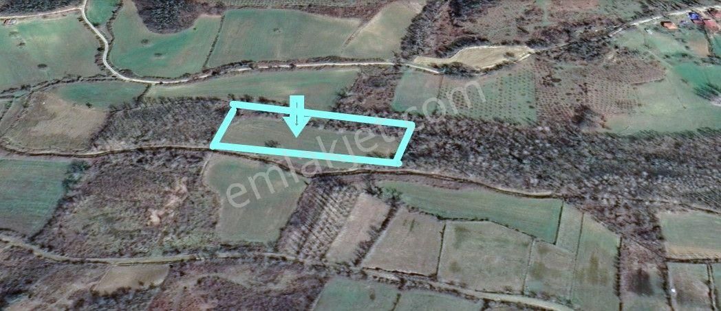 Sinop,yeniçam'da 10 Dönüm Satılık Tarla