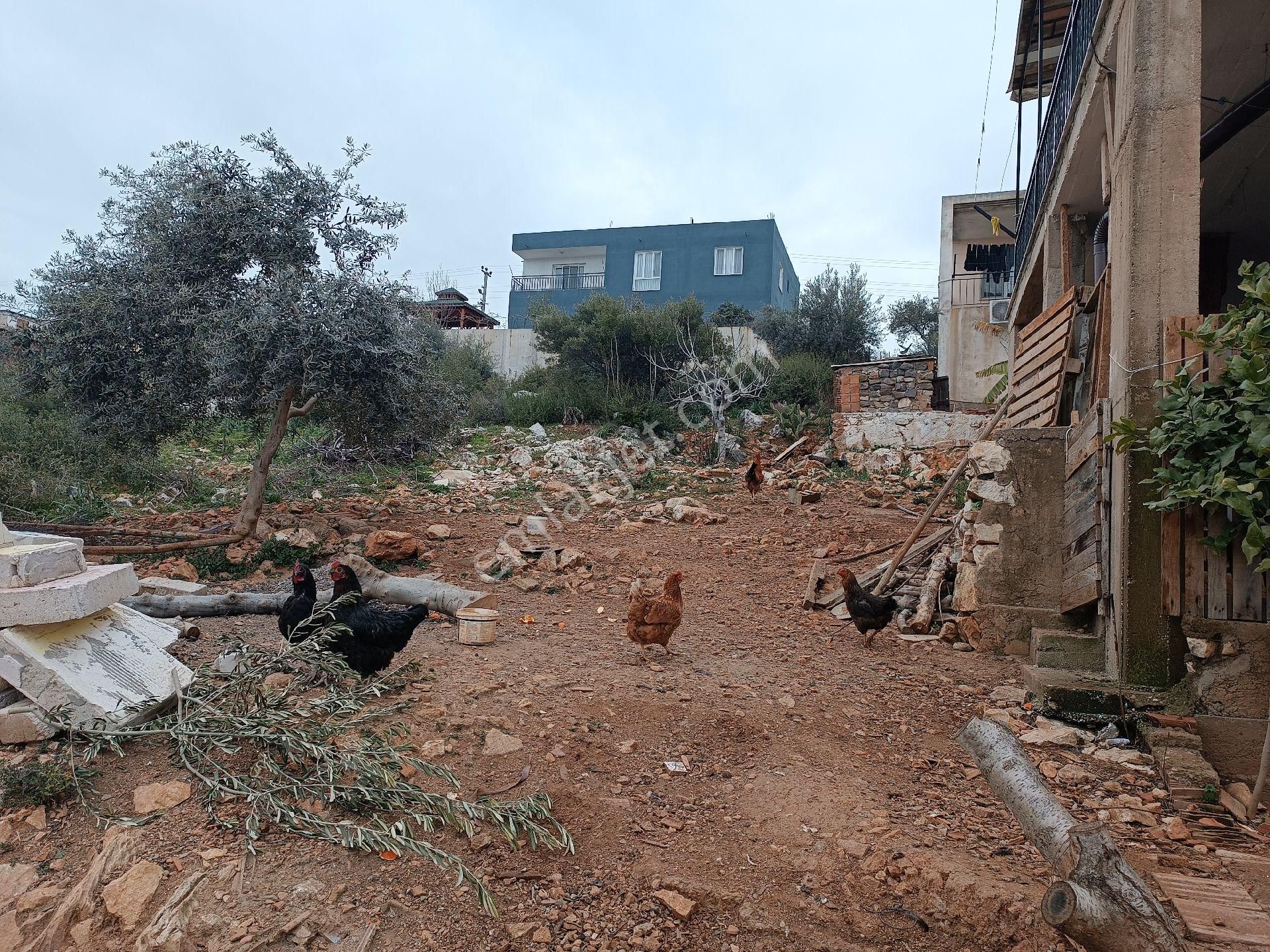 Torbalı Kuşçuburunda Havada Ana Yola Yakın Satılık Arsa - Görsel 12