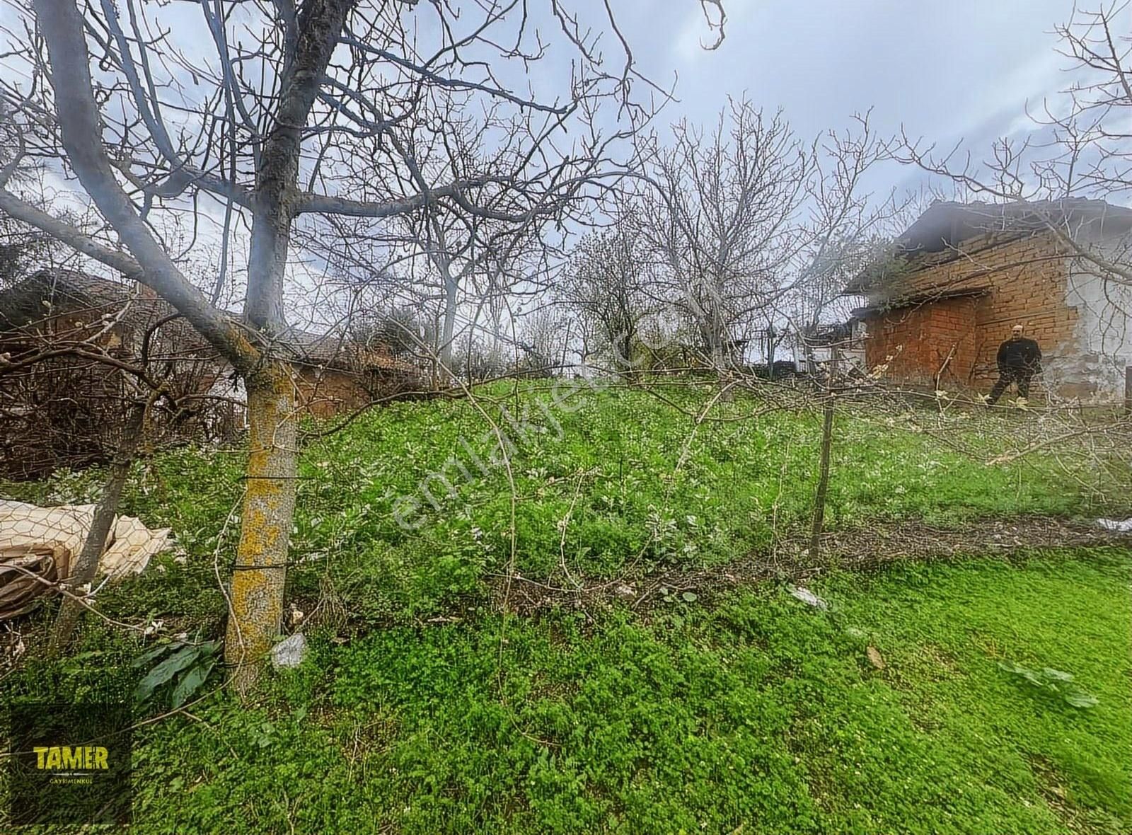 Tamer'den Herkesin Hayali Olan Bahçeli Köy Evi - Görsel 8