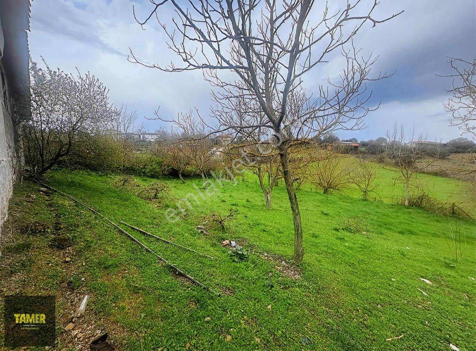 Tamer'den Herkesin Hayali Olan Bahçeli Köy Evi - Görsel 23