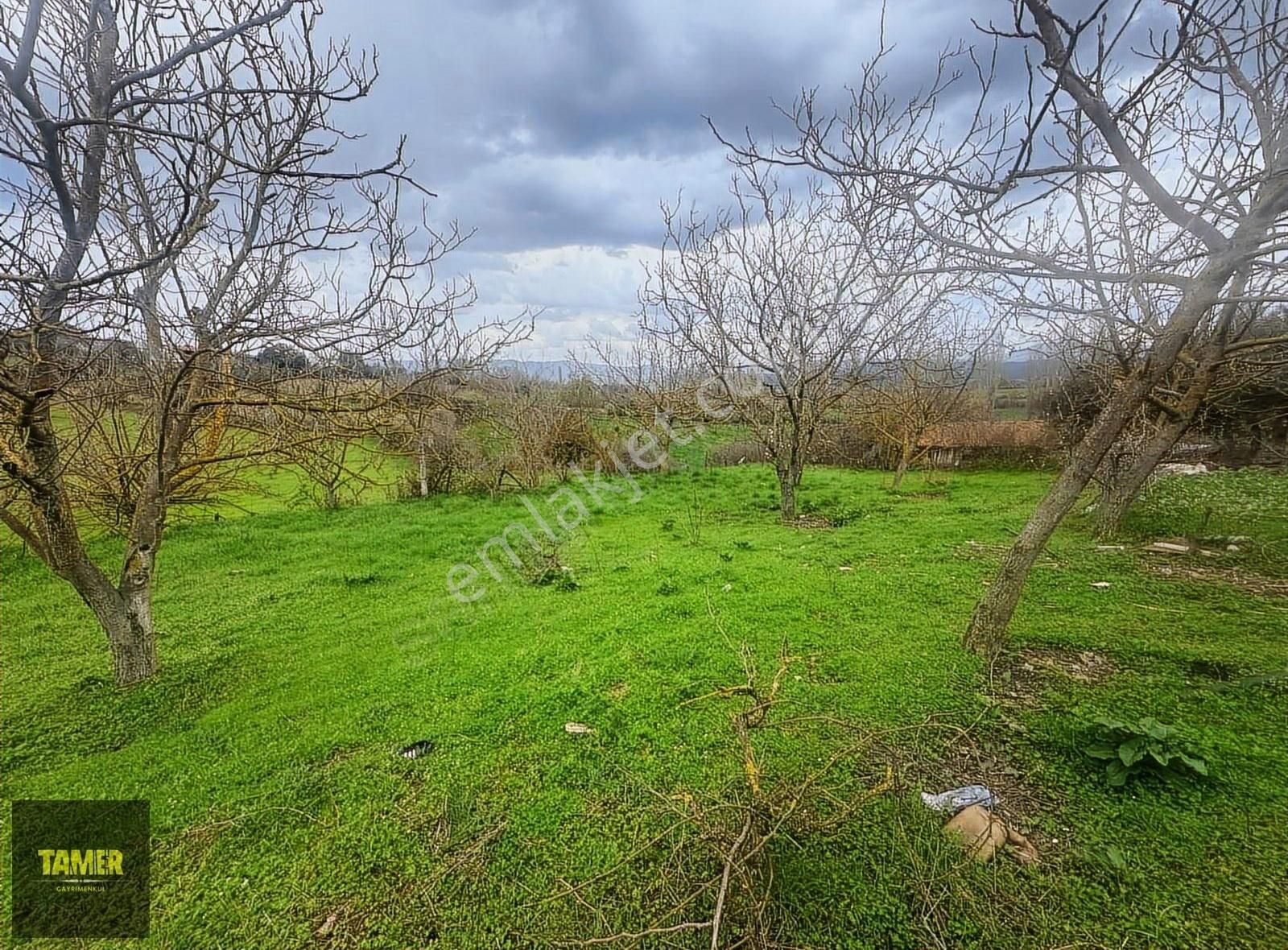 Tamer'den Herkesin Hayali Olan Bahçeli Köy Evi - Görsel 3