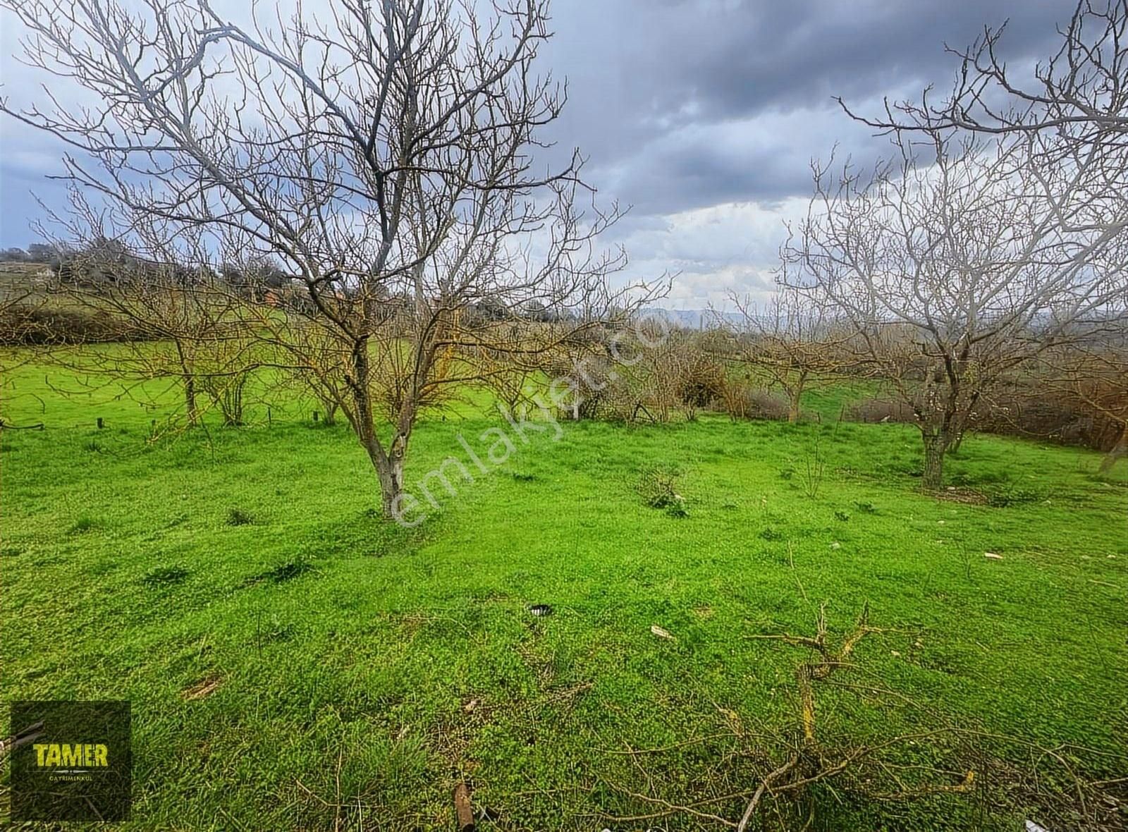 Tamer'den Herkesin Hayali Olan Bahçeli Köy Evi - Görsel 6