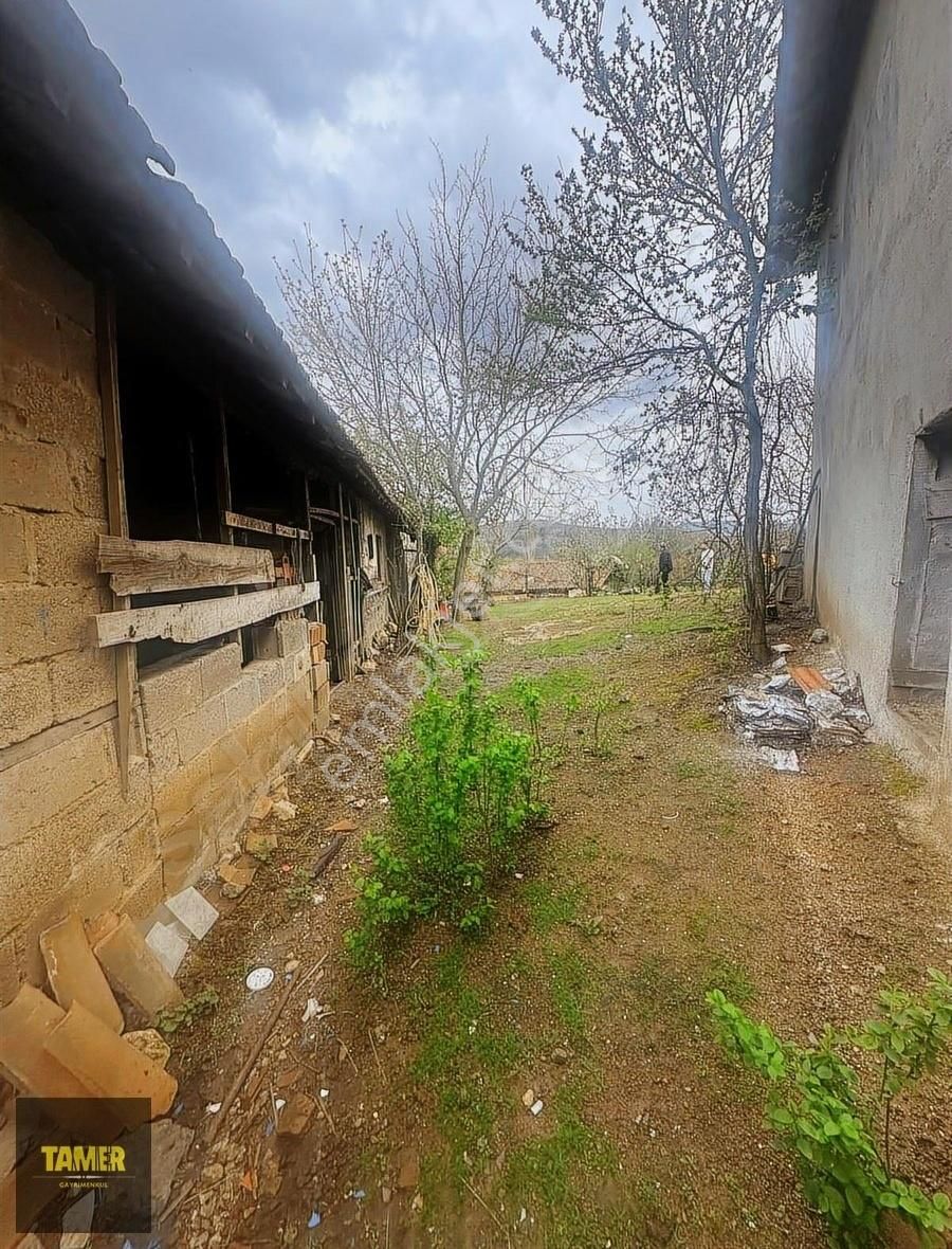 Tamer'den Herkesin Hayali Olan Bahçeli Köy Evi - Görsel 20