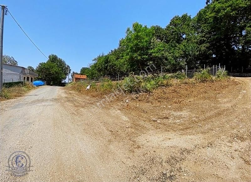 Köy İçi 504m2 Değerli Müstakil Parsel (yol,su,elektrik Mevcut) - Görsel 4