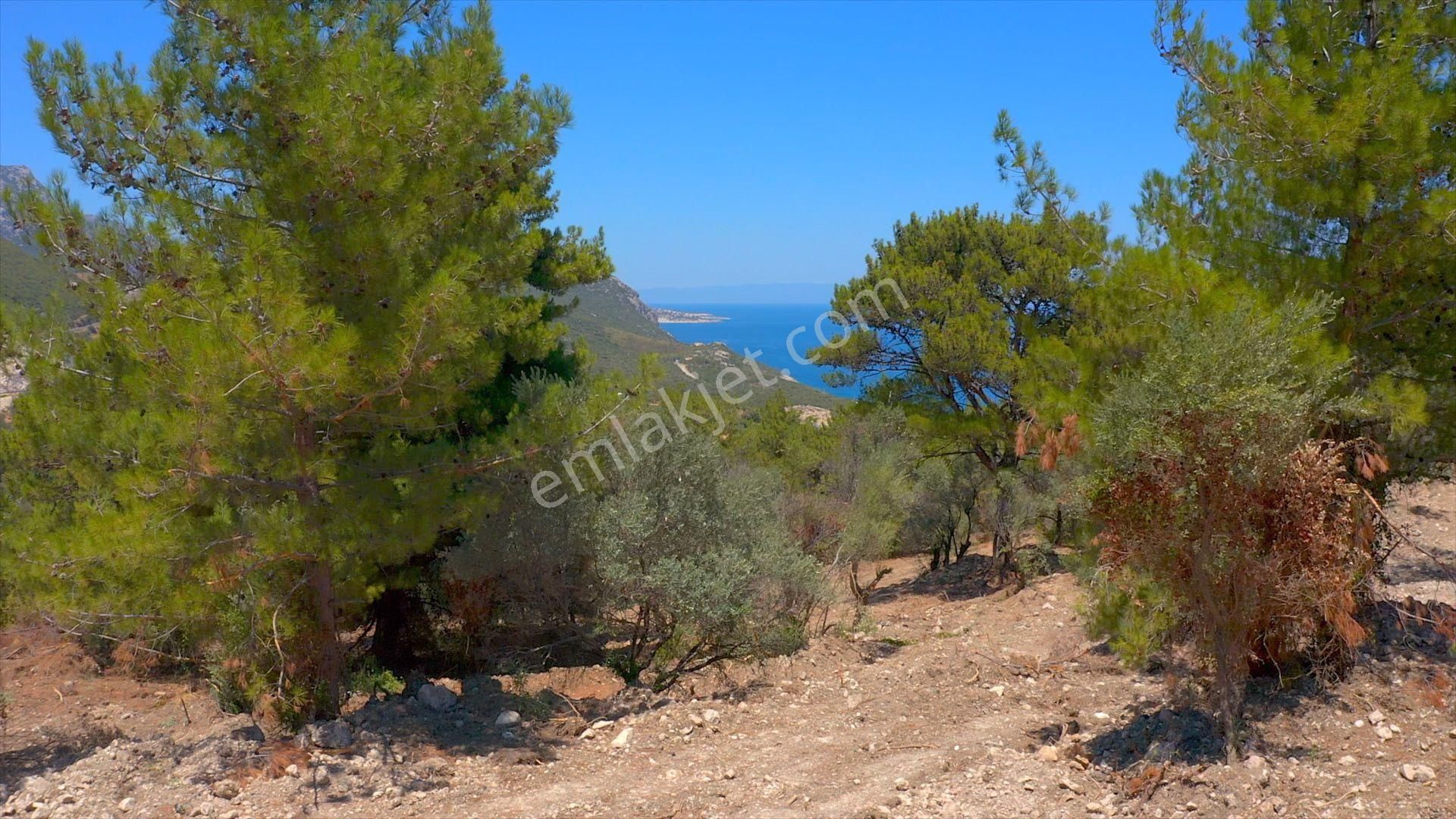 Karaburun Anbarseki Eşendere'de Sahile Çok Yakın Deniz Manzaralı Tarla