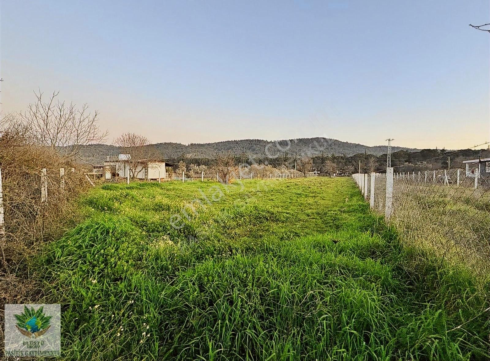 Pasifikten Menderes Yeniköyde Anayola Sıfır 2.275m² Fırsat Tarla - Görsel 15