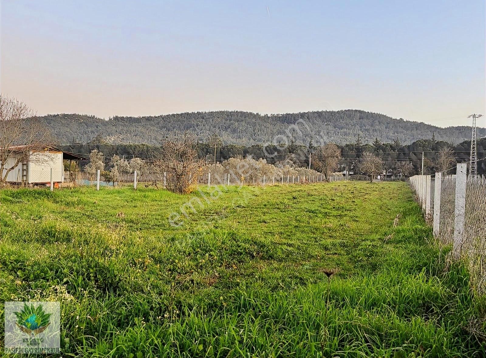 Pasifikten Menderes Yeniköyde Anayola Sıfır 2.275m² Fırsat Tarla - Görsel 27