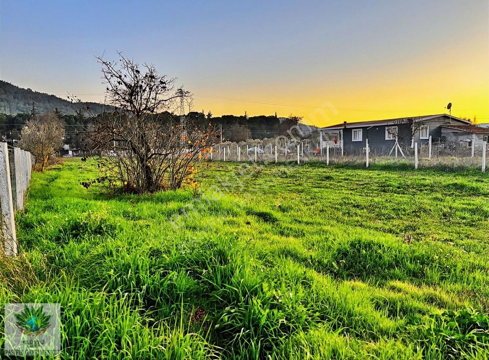 Pasifikten Menderes Yeniköyde Anayola Sıfır 2.275m² Fırsat Tarla