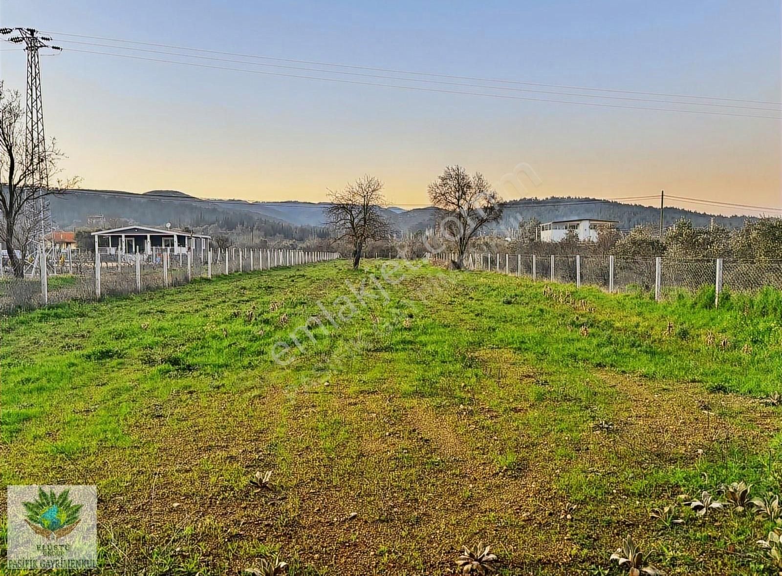 Pasifikten Menderes Yeniköyde Anayola Sıfır 2.275m² Fırsat Tarla - Görsel 2