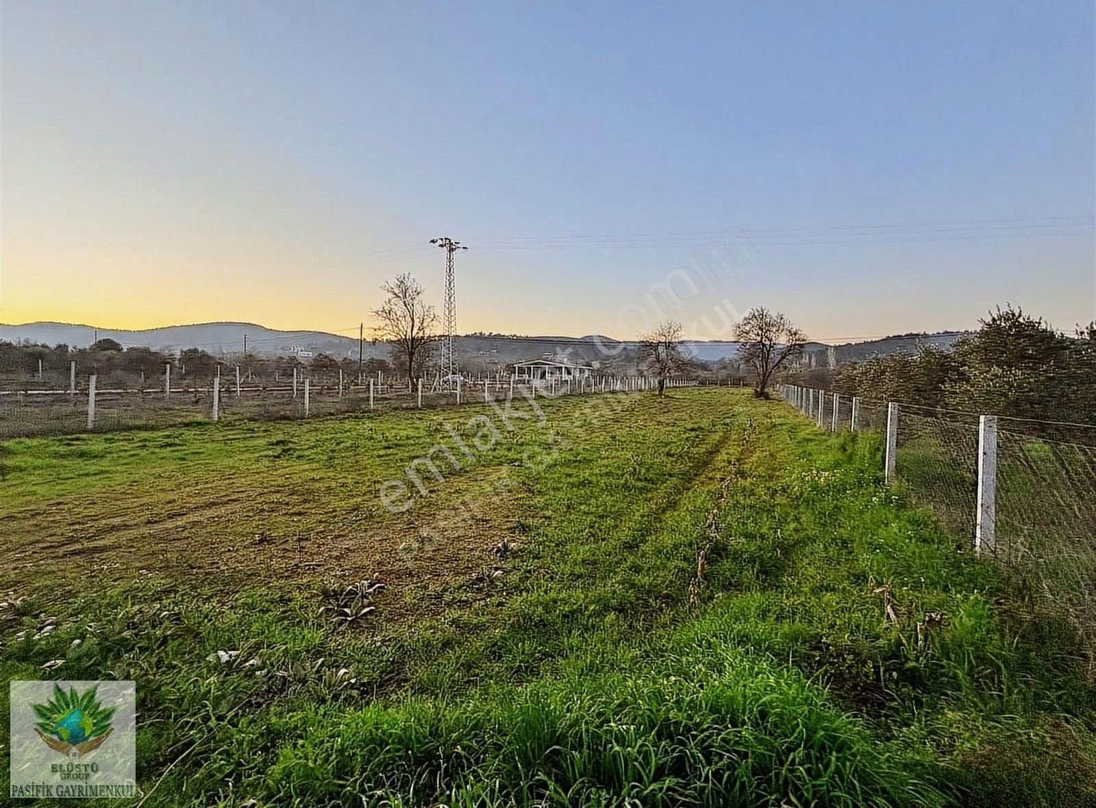 Pasifikten Menderes Yeniköyde Anayola Sıfır 2.275m² Fırsat Tarla - Görsel 3