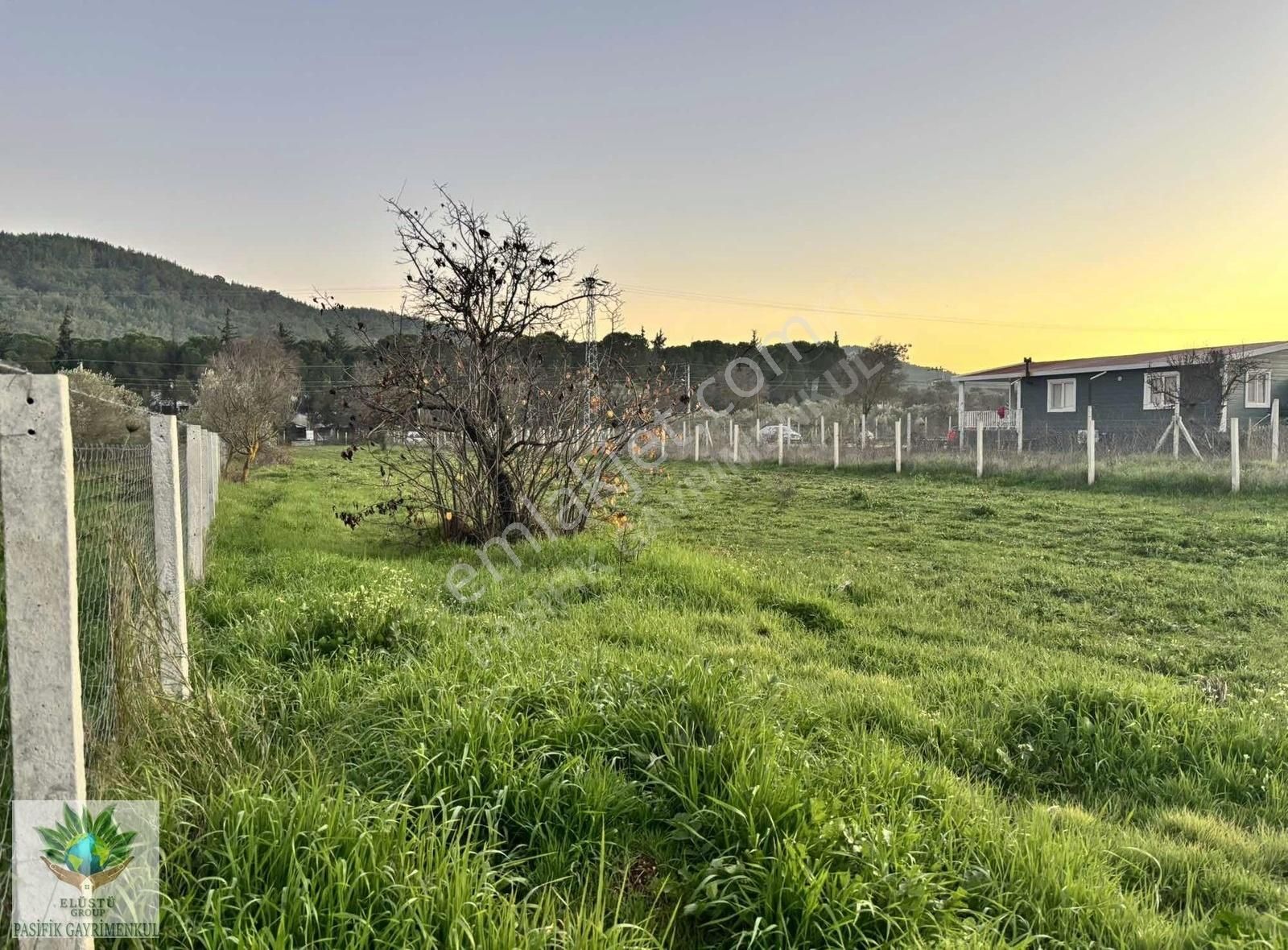 Pasifikten Menderes Yeniköyde Anayola Sıfır 2.275m² Fırsat Tarla - Görsel 11